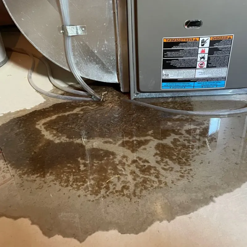 Pipe Burst and Leak Restoration in Green Haven, MD