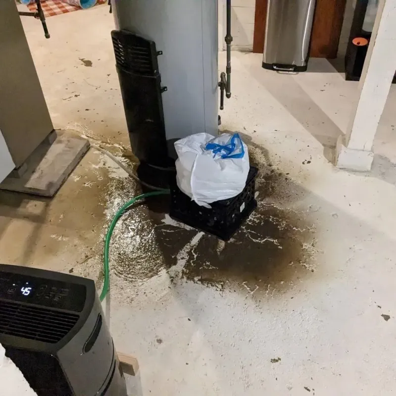 Sewage Backup Cleanup Service in Green Haven, MD